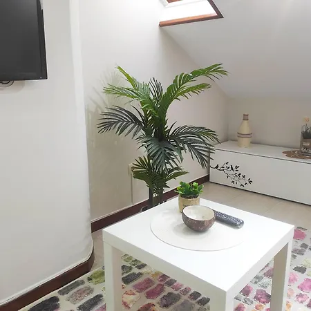 Coqueto Atico En Appartement